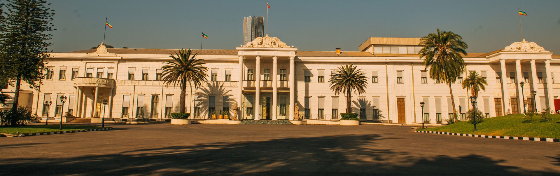 Half Day National palace Tour 